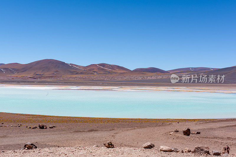 Laguna Tuyajto - San Pedro de Atacama, Antofagasta Region, 智利